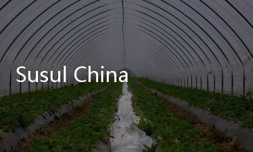 Susul China, Korea Utara Mengkritik Keras Proyek Golden Dome Trump